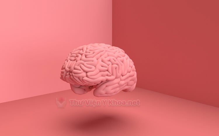 Nhũn não tiến triển 
- Đặc điểm, chẩn đoán và cách xử trí